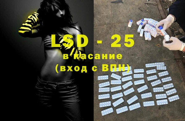 стафф Алзамай