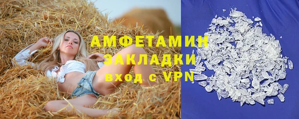 стафф Алзамай
